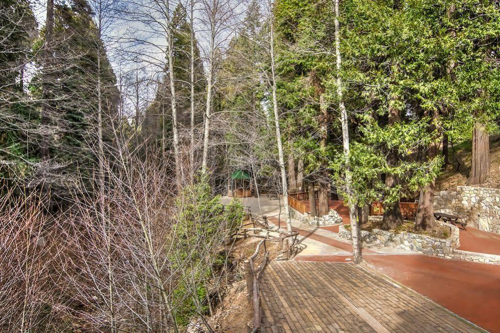 Arrowhead Tree Top * Lake Arrowhead